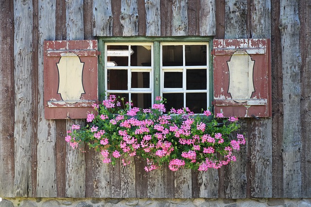 Revolutionize Your Space: Motorized Windows and Customized Plans