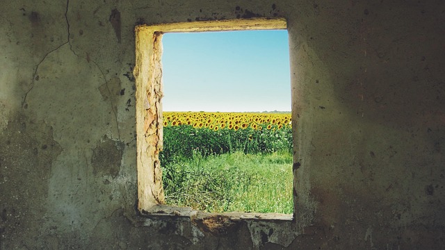 Modern Window Installation: Experts, Automation, & Collaborative Practices