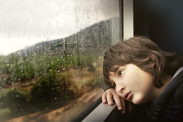 house-window-window-automatic-window-640x480-96558934.jpeg