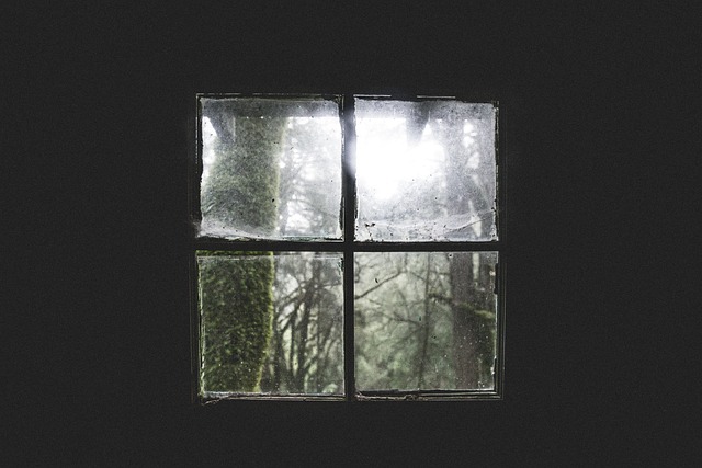 house-window-window-house-640x480-95933429.jpeg