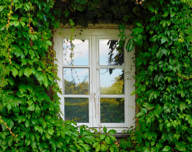 house-window-window-window-insulation-640x480-4890678.jpeg