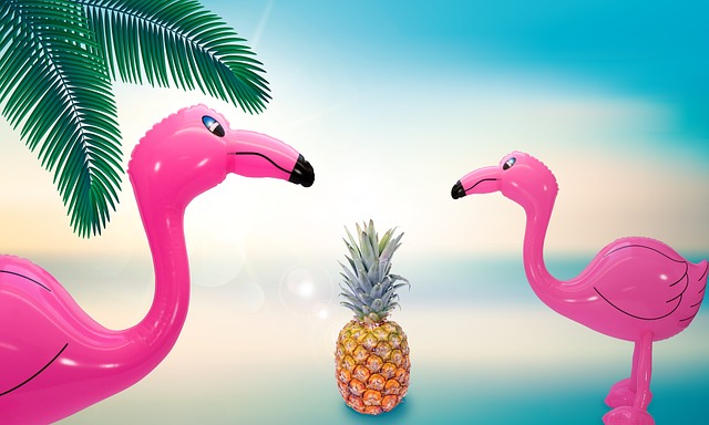 inflatable-water-slides-640x480-48714936.jpeg