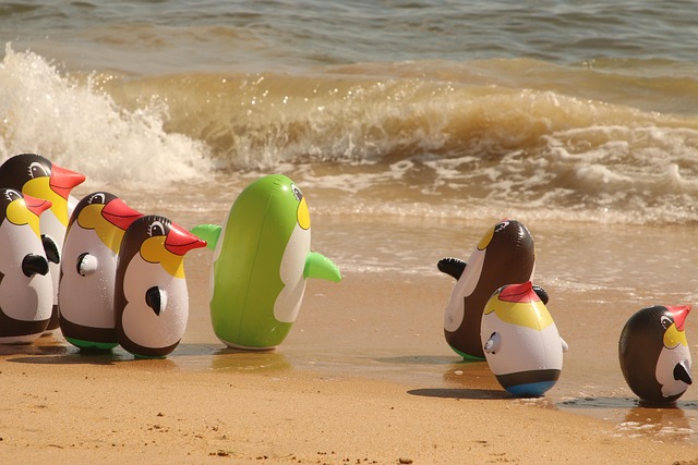 inflatable-water-slides-640x480-77449941.jpeg
