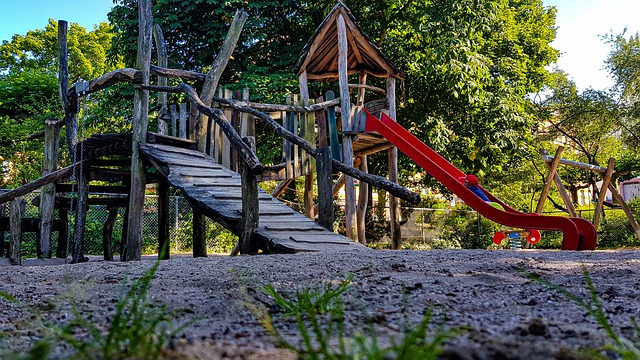Inflatable Bounce House Combos: Jungle Adventure with Tree Pillars and Animal Obstacles