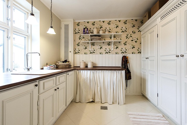 kitchen-cabinet-kitchen-kitchen-counter-640x480-40699861.jpeg