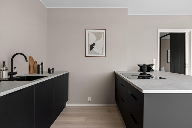 Modernize Your Kitchen with Stylish Cabinet Handles and Fixtures