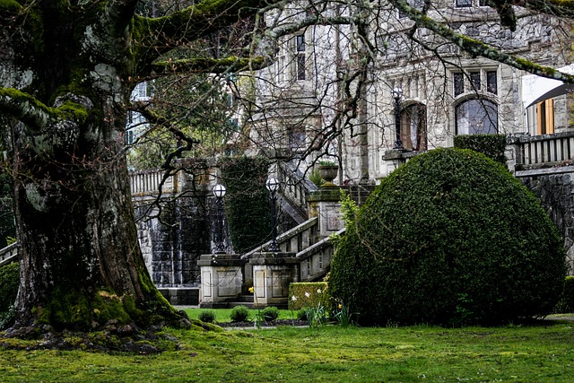 landscaping-640x480-14251.jpeg