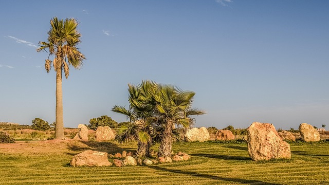 landscaping-640x480-16991690.jpeg