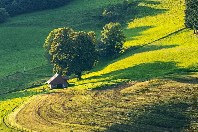landscaping
