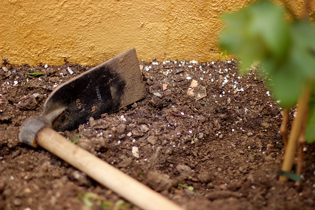 landscaping-640x480-21779044.jpeg