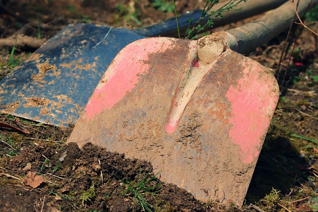 landscaping-640x480-27993116.jpeg