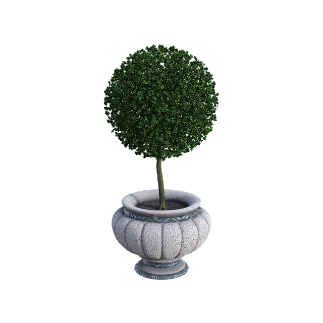landscaping-640x480-33044771.png