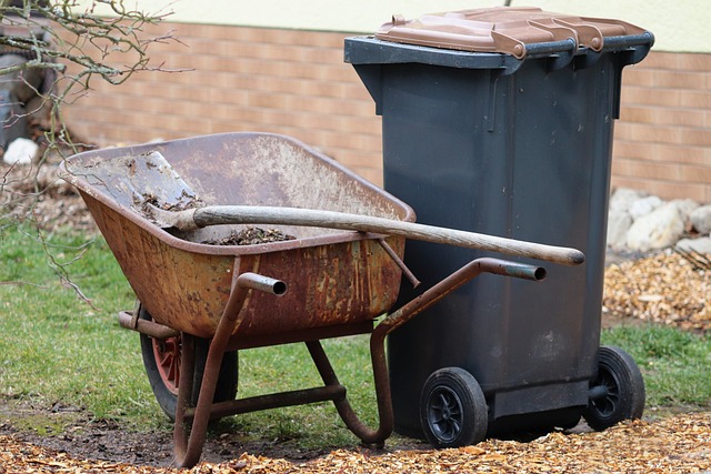 Eco-Friendly & Low-Maintenance: Designing an Economical Garden