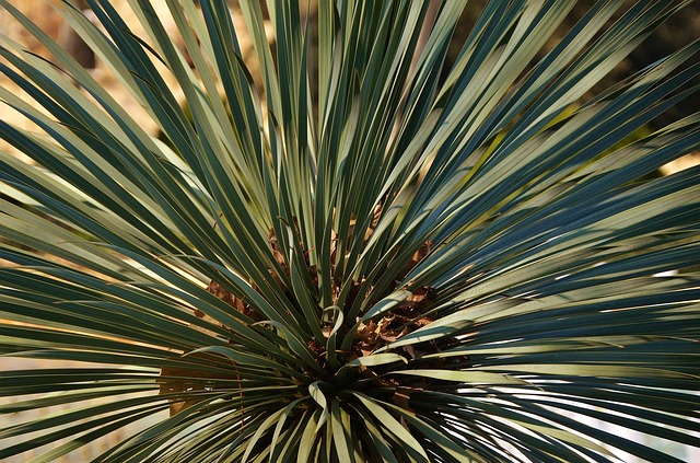 landscaping-640x480-5589081.jpeg