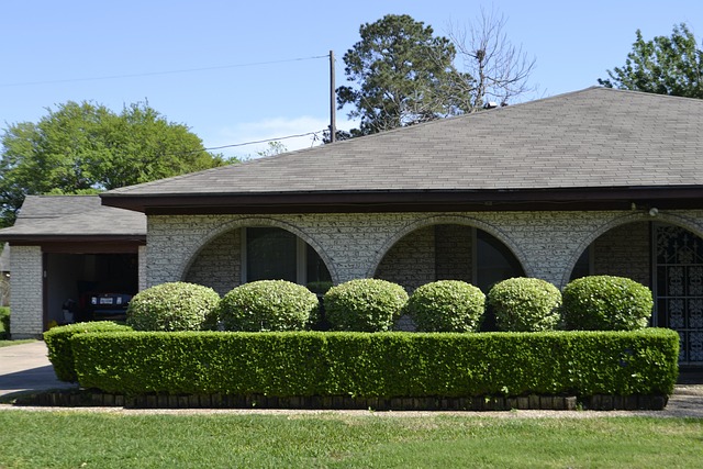landscaping