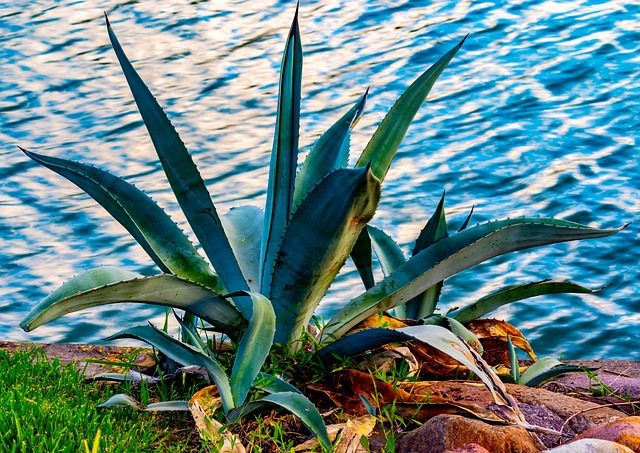 landscaping-640x480-58416020.jpeg