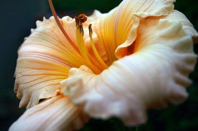 landscaping-640x480-6228595.jpeg