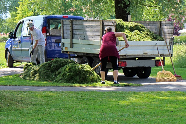 landscaping