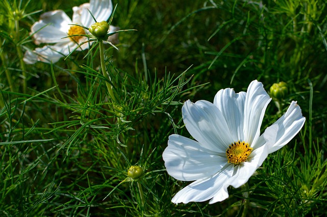 landscaping-640x480-75490366.jpeg