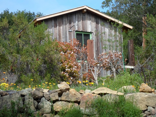 landscaping-640x480-78067917.jpeg