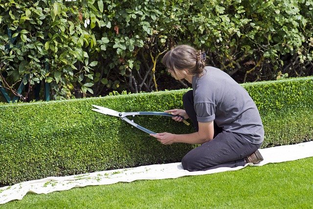 landscaping