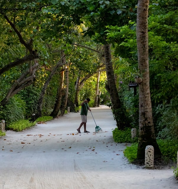 landscaping-640x480-79776041.jpeg