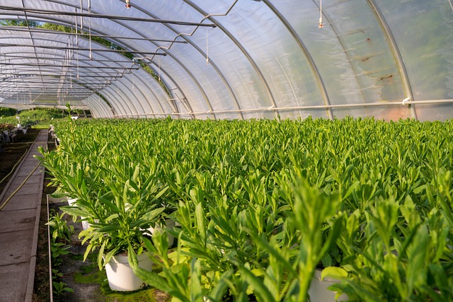 landscaping-640x480-80440502.jpeg