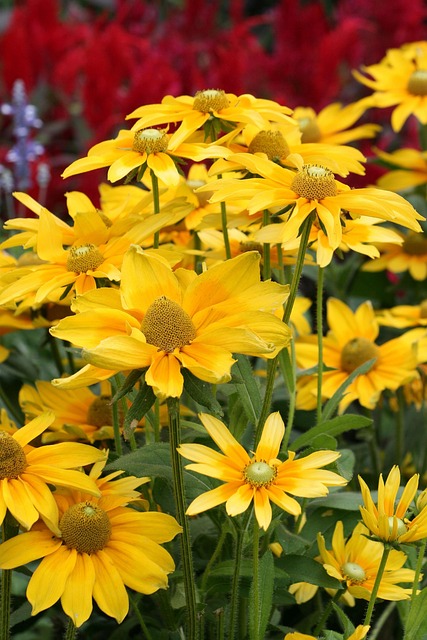 landscaping-640x480-80901709.jpeg