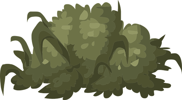 landscaping-640x480-84362004.png
