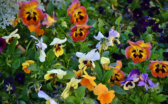 landscaping-640x480-91162373.jpeg