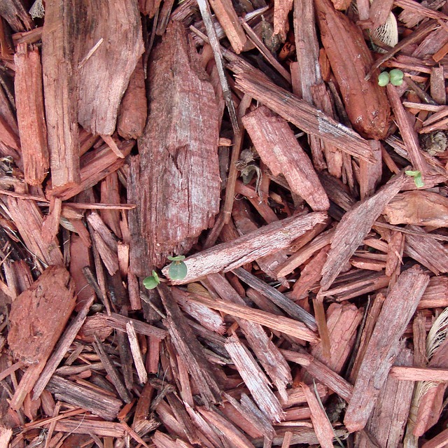 landscaping-640x480-92868774.jpeg