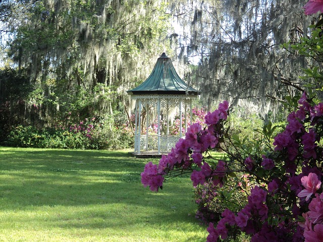 landscaping