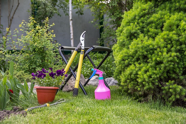 landscaping-backyard-garden-640x480-13189884.jpeg