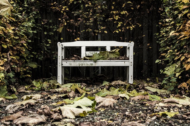 Greening Your Yard: Plants for Sustainable Carbon Reduction
