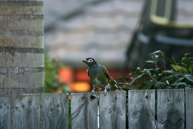 Transforming Your Small Backyard: Layout Tips & Challenges Solved