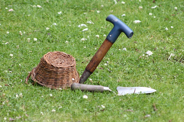 landscaping-backyard-garden-640x480-27380871.jpeg