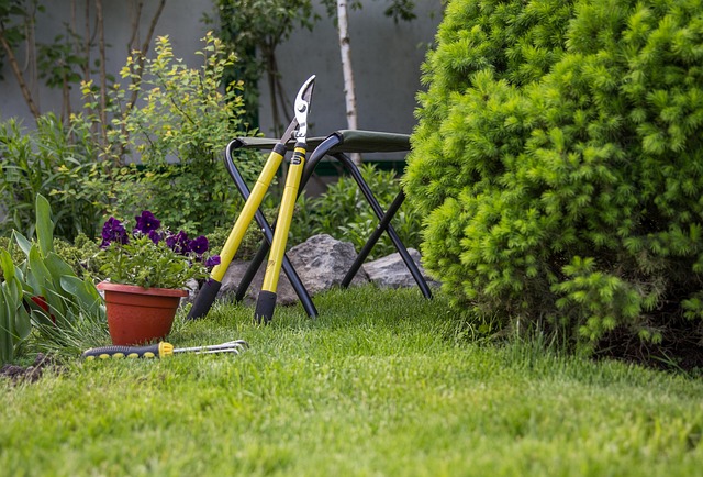 Smart Budget-Friendly Ideas for Lasting Backyard Upgrades