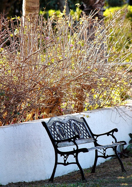 Inexpensive Lighting Ideas for Enchanting Backyard Transformations