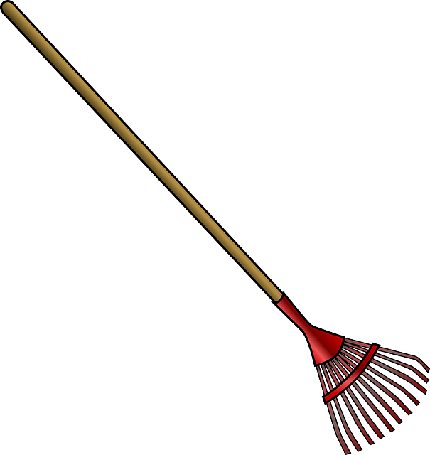 landscaping-backyard-garden-640x480-54599320.png