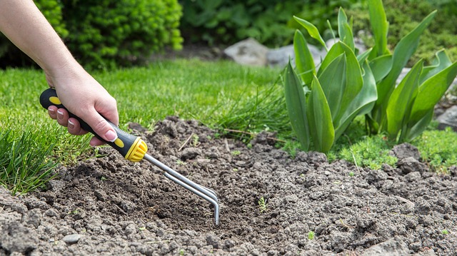 landscaping-backyard-garden-640x480-55067131.jpeg