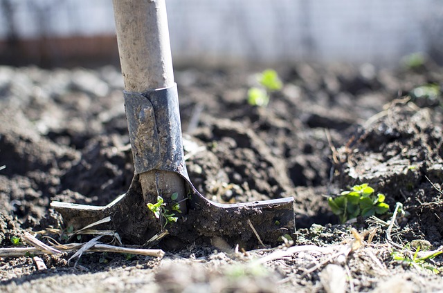 Fall Cleanup Essentials: Unclutter Your Outdoor Space for All Seasons