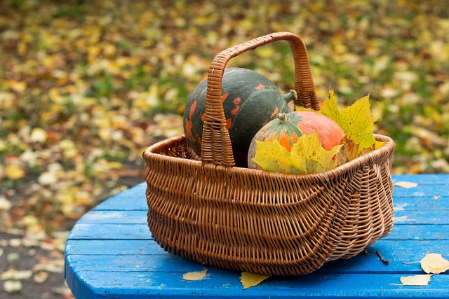 Winterize Your Backyard: Creating Year-Round Charm