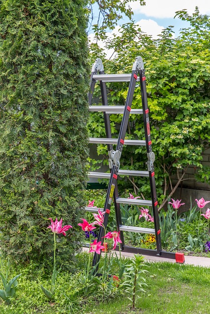 Transforming Tiny Backyards: Space-Saving Layouts & Creative Design Ideas