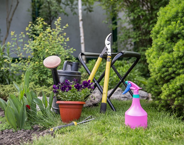 landscaping-backyard-garden-640x480-70120670.jpeg