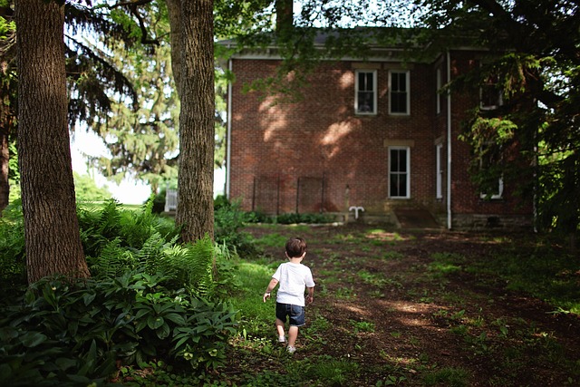 Optimize Backyard Flow: Effective Zoning Strategies for Organized Spaces