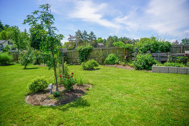 landscaping-backyard-garden-640x480-89588099.jpeg
