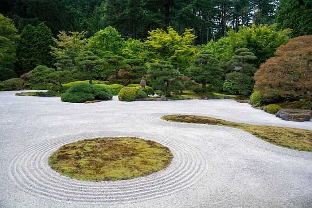 Year-Round Care: Seasonal Tips for Your Thriving Backyard