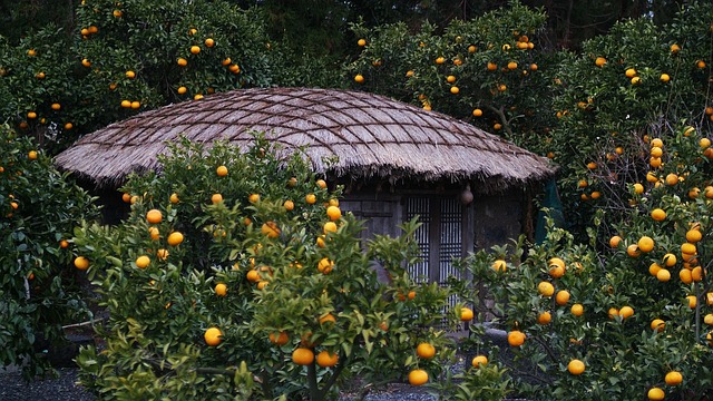 Revolutionize Your Yard: Sustainable Irrigation for Water-Efficient Gardens