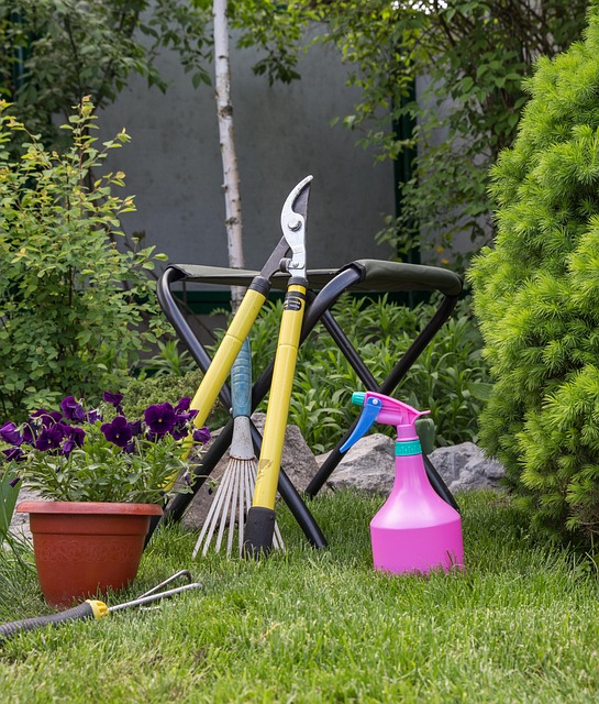 landscaping-backyard-garden-640x480-98946145.jpeg