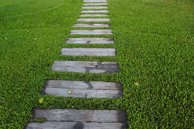 landscaping-backyard-garden-curb-640x480-23367560.jpeg